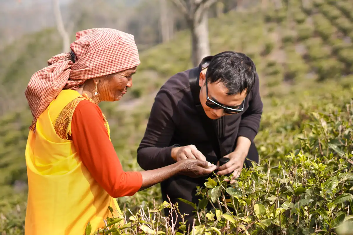 Tea Trails Journey